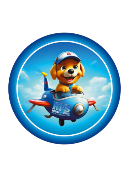 Спиннер-диск RPS Pilot""
